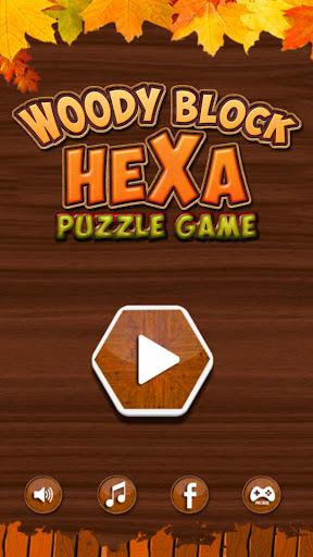 Block Hexa Woody Puzzle - featured image
