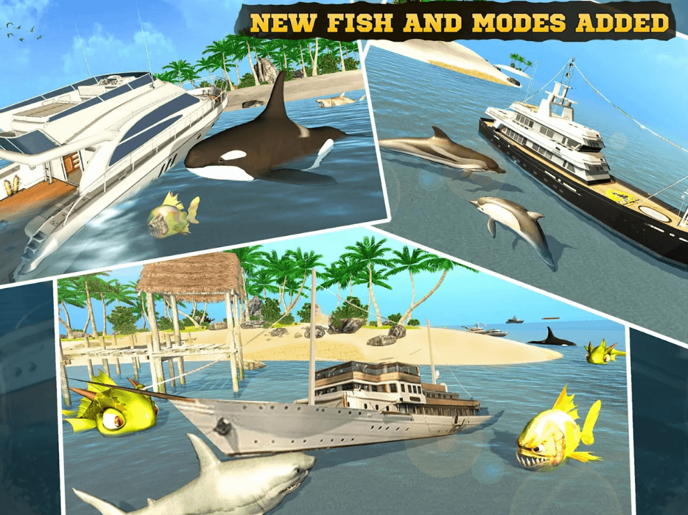 Thumbnail 13
