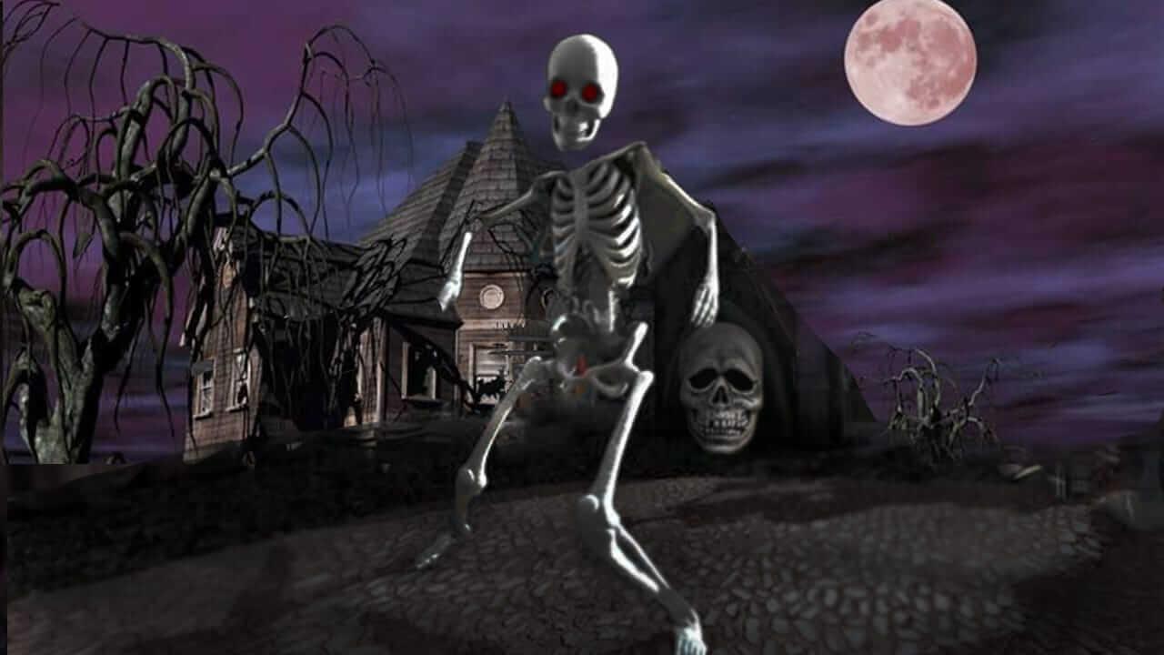 Thumbnail 4