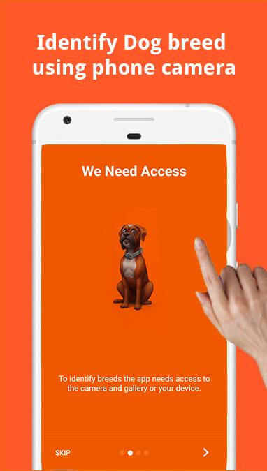 Dog Scanner – Identify Dogs Breeds - featured image